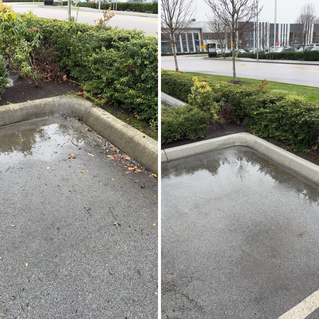 Before and after pressure washing driveway Lower Mainland BC